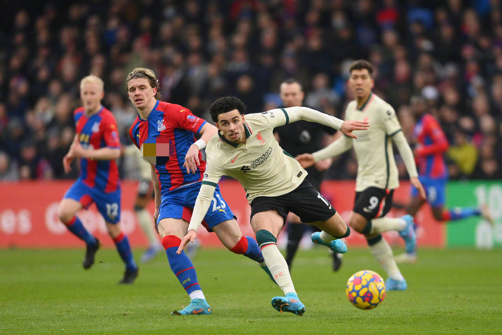 乐部与球员 乐部与球员